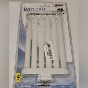 Feit Electric 65 Watt Daylight (6500K) Compact Fluorescent Light BPFML65/65